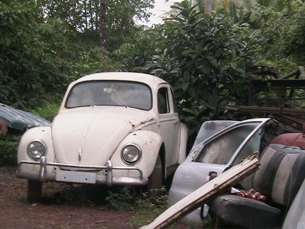 Junk Cars Virginia-Highland